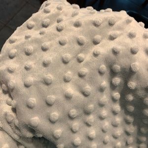 Minky Car Seat Cover